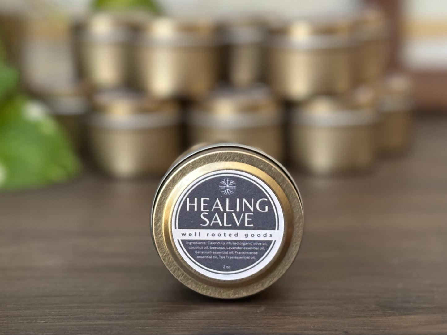 All- Natural Healing Salve